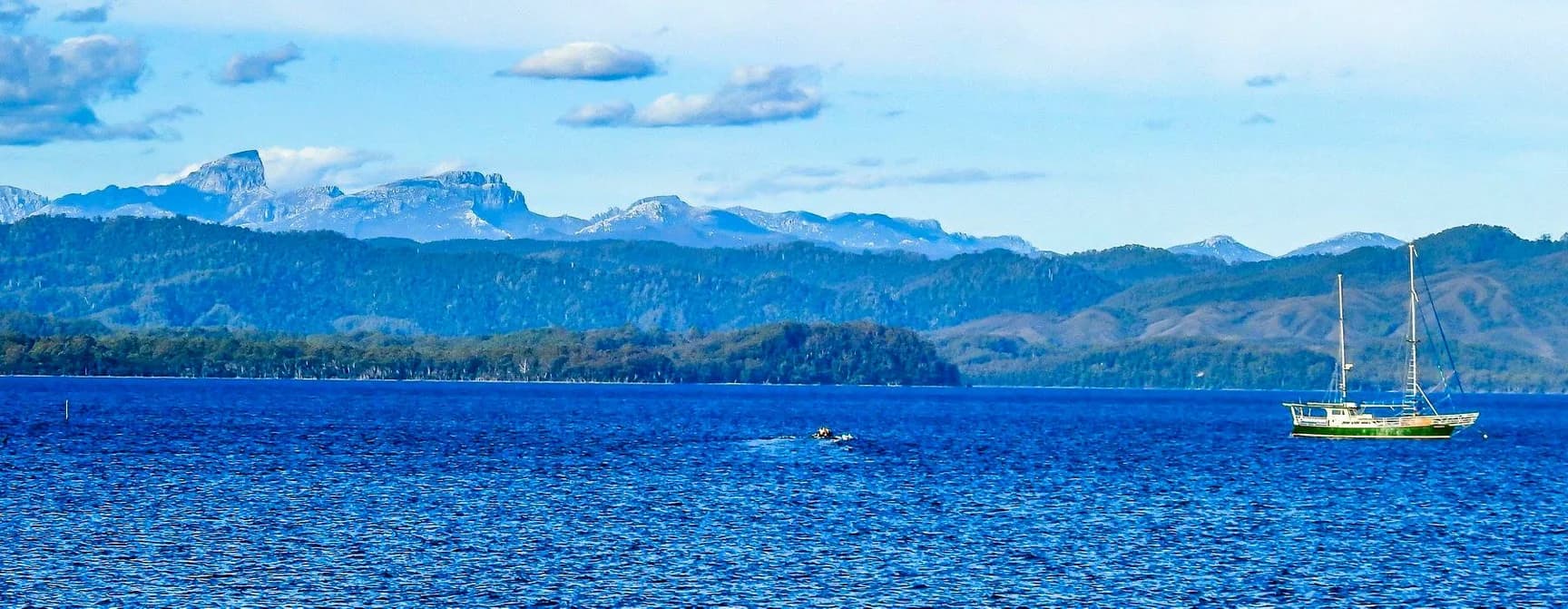 The view across the water from the Gordon River cruise out of Strahan