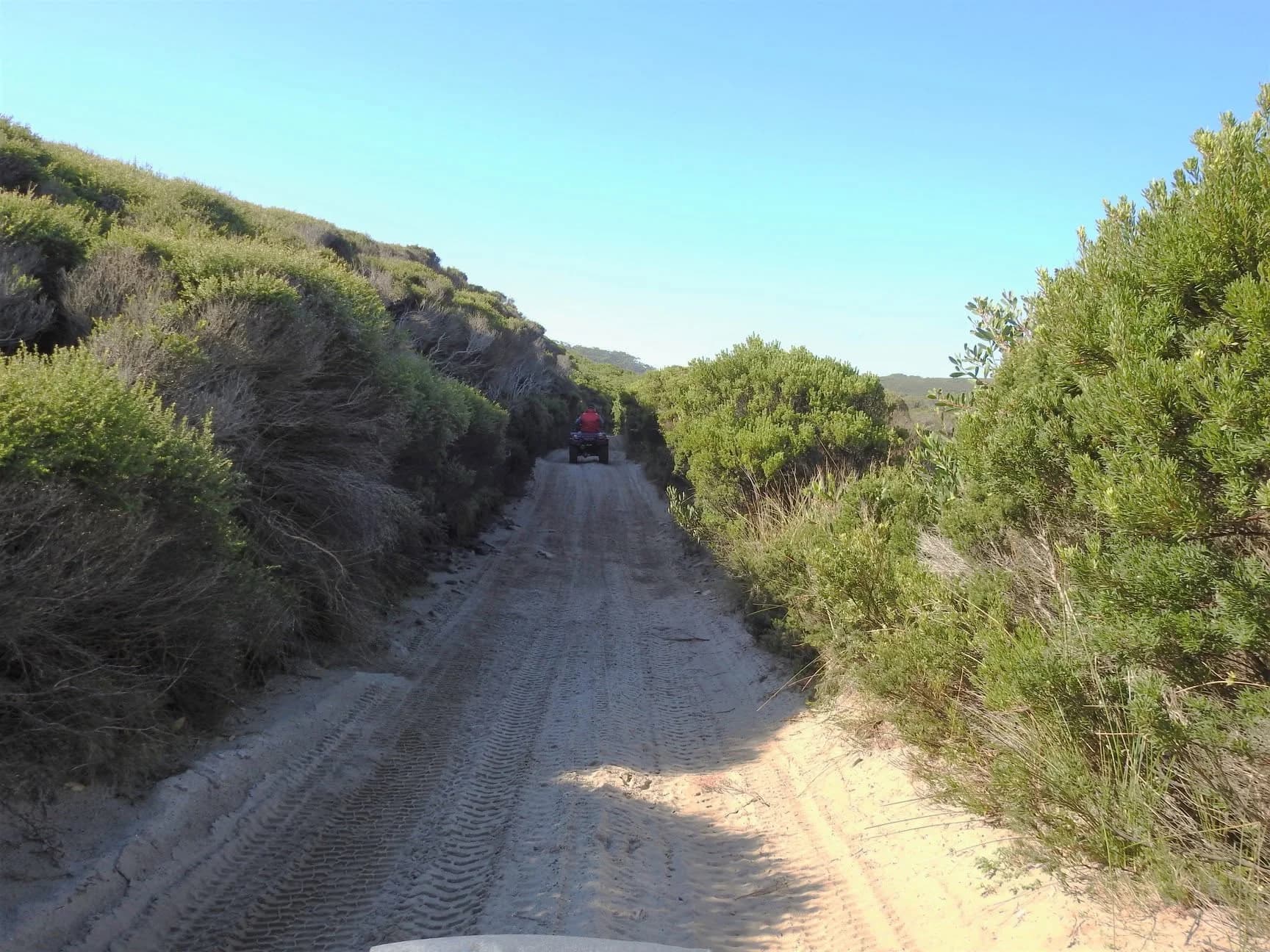 A sandy four wheel drive track near Granville Harbour, West Coast Tasmania