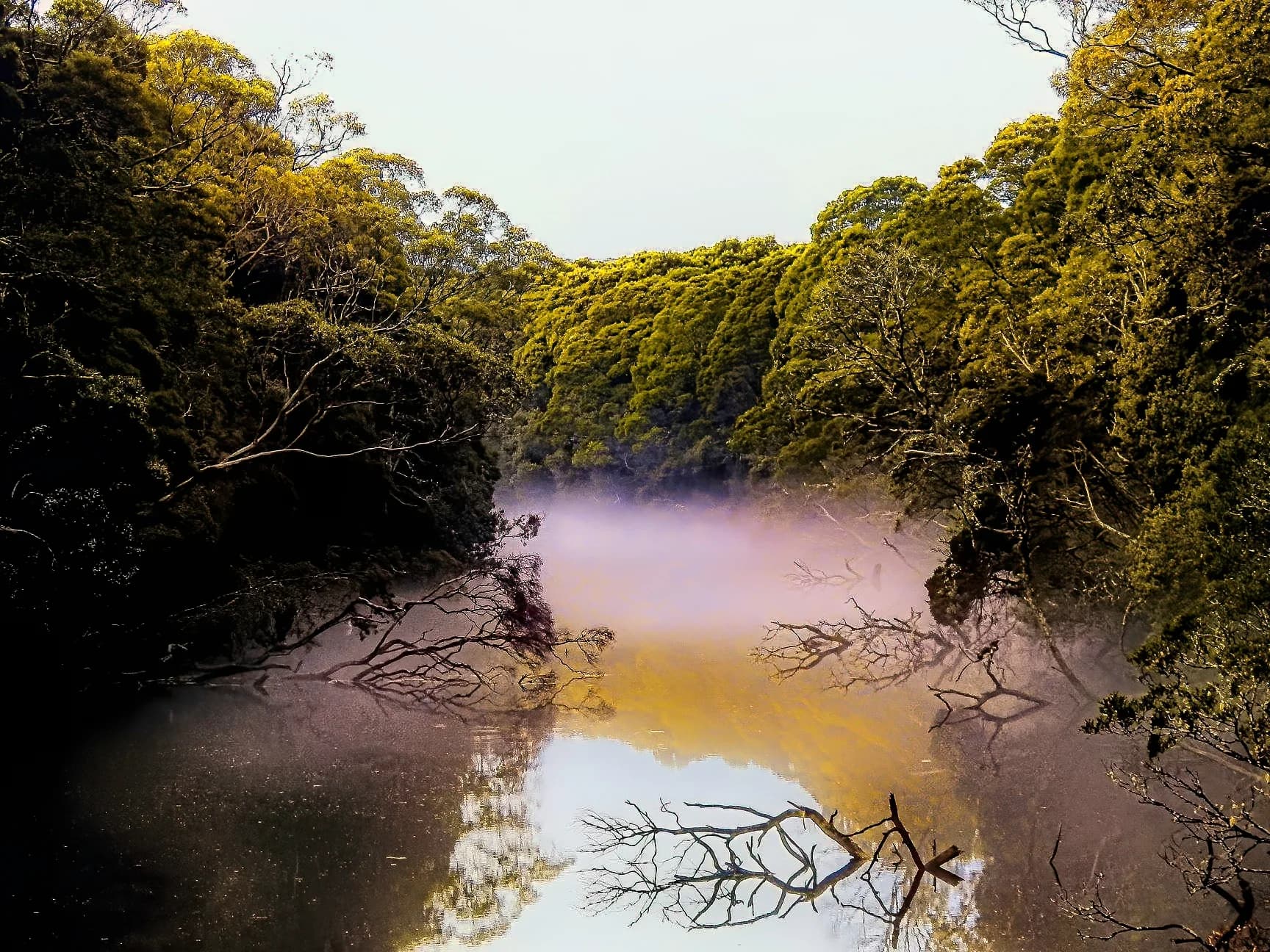The Henty River, on the road between Zeehan and Strahan