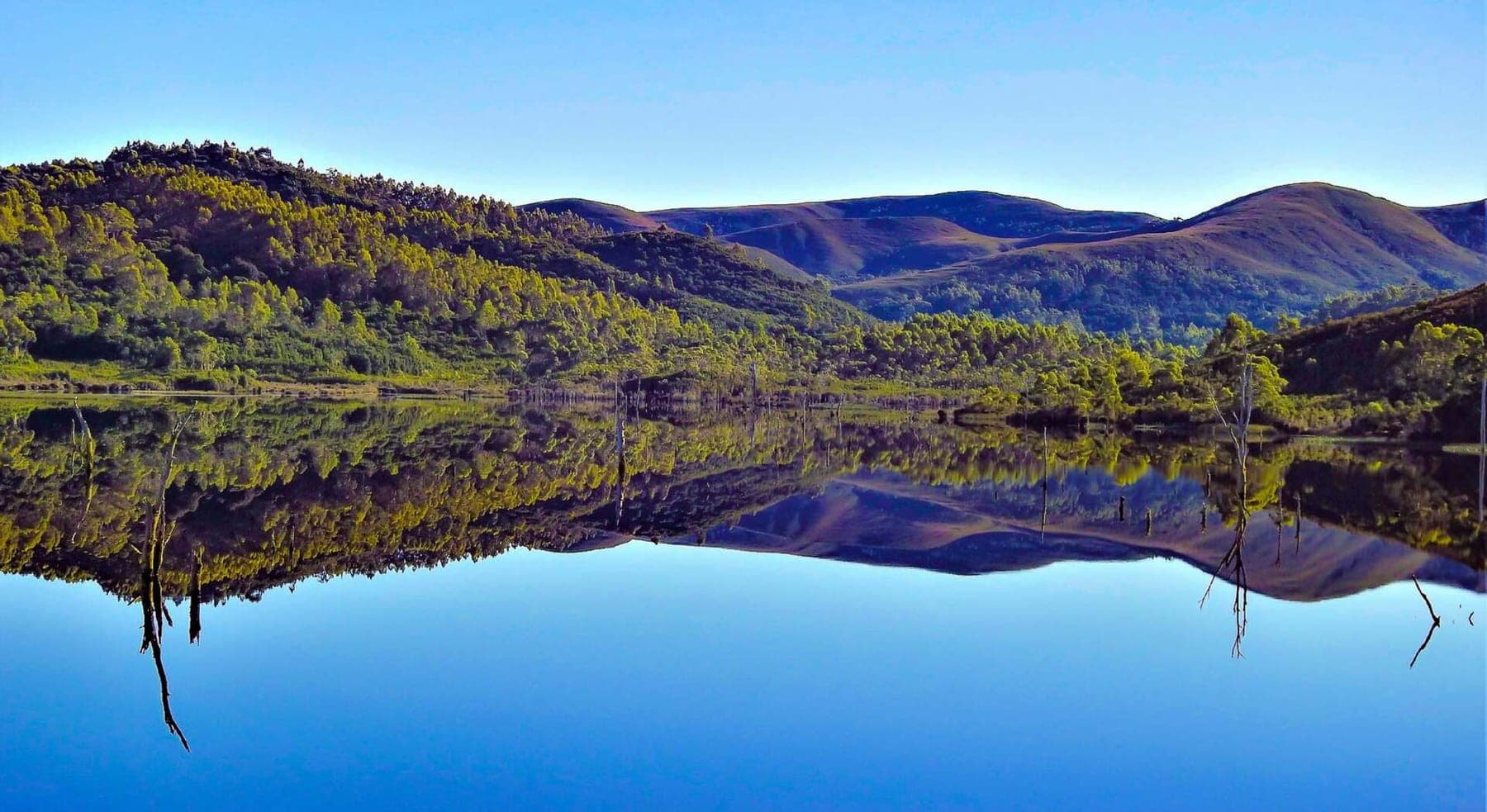 Rainforest and still water on Tasmania's West Coast